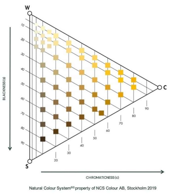 UNDERSTANDING NCS | system NCS